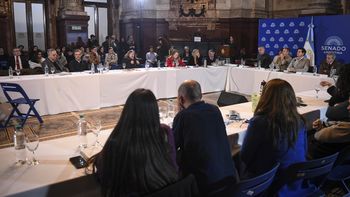 Cambios en la Ley de Tierras: advierten sobre los riesgos de flexibilizar los controles y el impacto en la soberanía