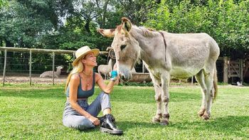 Las vacaciones campestres de Nicole Neumann: Los burros me producen una ternura especial