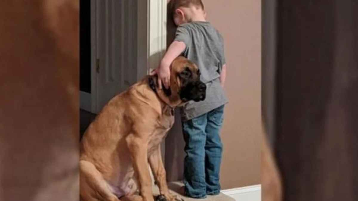 Cadenas de amor: niño y perro comparten castigo con ternura