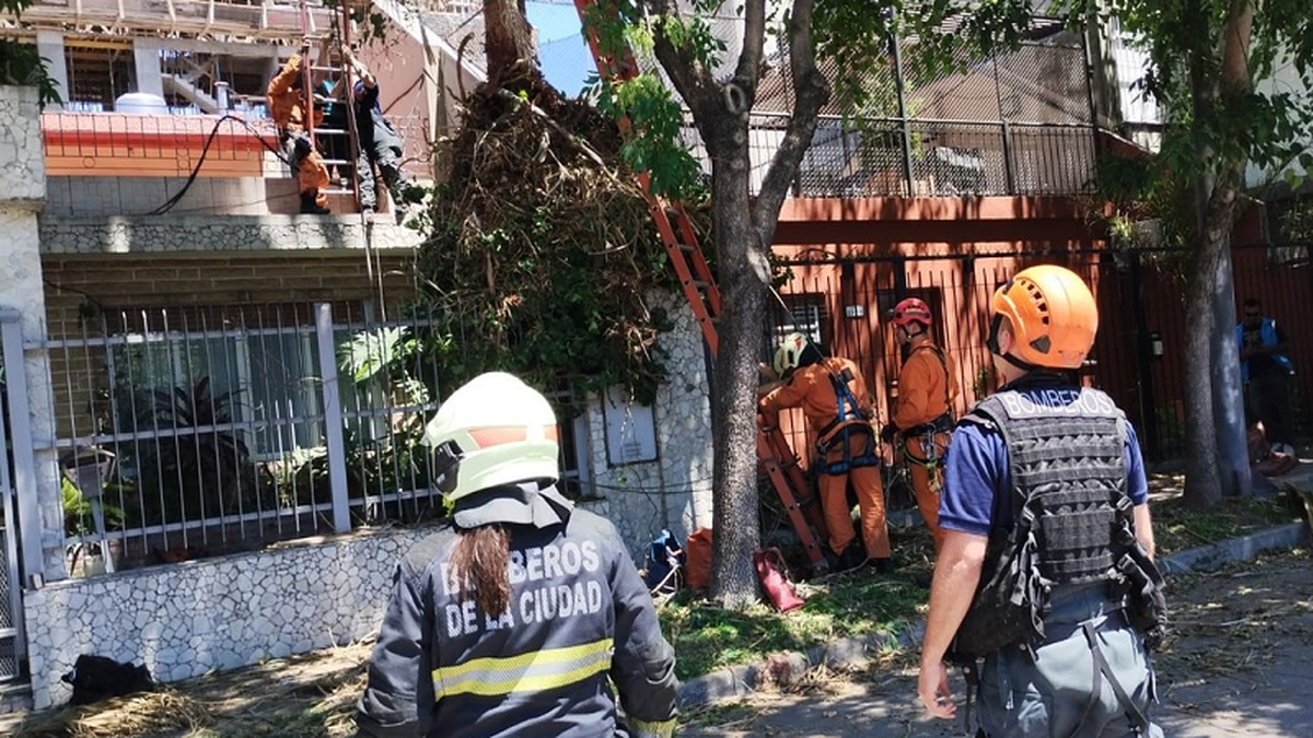 Bomberos de la Ciudad tuvieron que descolgar al joven de 23 años que finalmente falleció rumbo al Hospital Pirovano (Foto: Diario Villa Ortúzar).&nbsp;