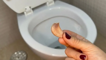 Poner un diente de ajo en el inodoro: para qué funciona y por qué sugieren hacerlo
