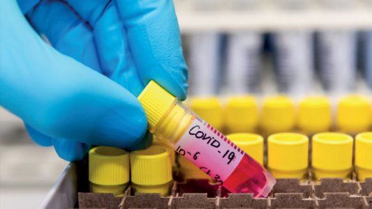 Una reconocida revista científica afirma que China tuvo cuatro veces más casos de contagios por COVID-19 que los declarados