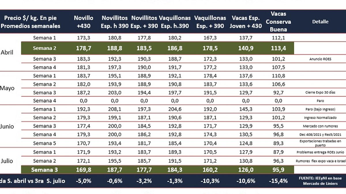 Los precios de la hacienda cayeron en todas las categorías; la Sociedad Rural alertó por el efecto del cierre a las exportaciones de carne.