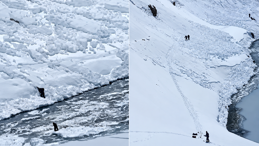 Tragedia en la cordillera de los Andes: una avalancha dejó cuatro muertos y cuatro heridos