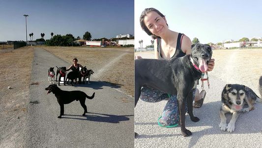 Pedía ayuda para no dejar abandonada a La Negrita y un llamado solidario la salvó
