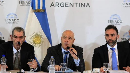 Senado: se pospuso el tratamiento de la Ley Bases y el Gobierno debe esperar por el dictamen