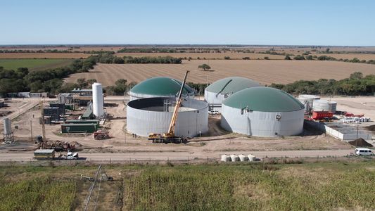 Minería de Bitcoin: un emprendedor argentino construye la primera bio-cripto granja para minar sin dañar el ambiente