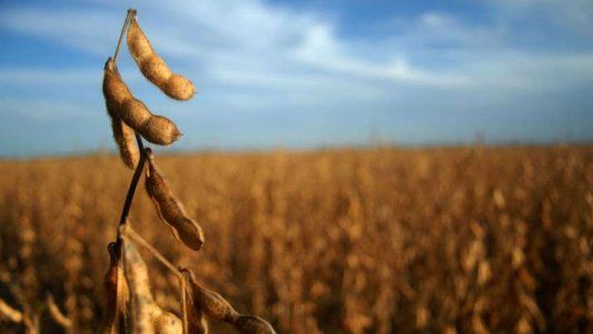 Para avanzar en el ajuste fiscal, el Gobierno anunció tres medidas relacionadas al campo