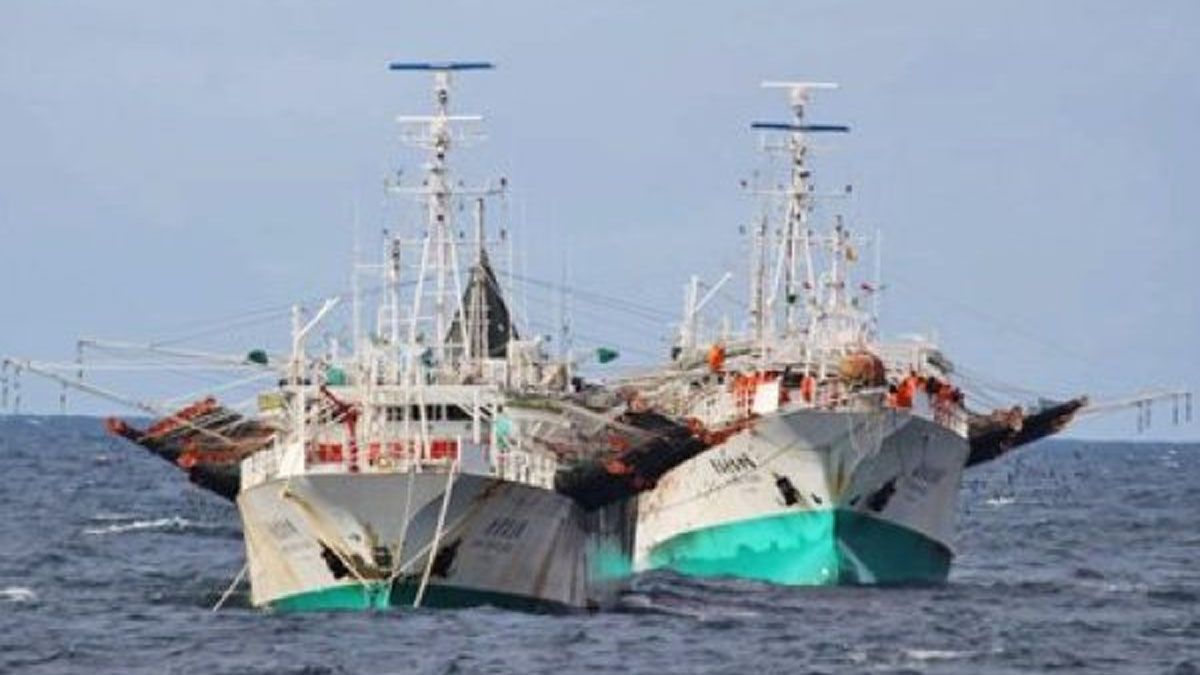 La pesca y el petróleo
