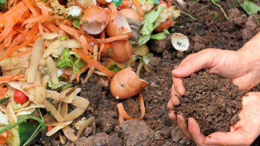 ¿Cómo hacer compost?