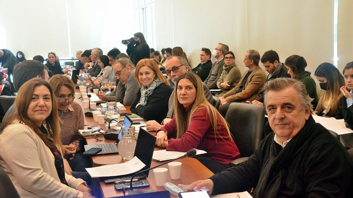 La oposición convocó a una sesión especial para tratar el proyecto de Boleta Única para el 8 de junio