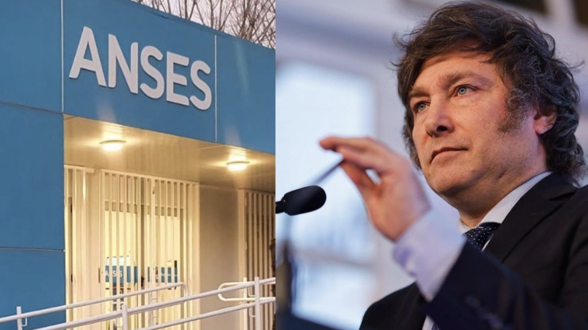 ANSES alerta sobre la consecuencia de no presentar la libreta AUH (Foto: archivo).
