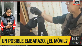 La teoría del embarazo, una nueva hipótesis del crimen de Cecilia Strzyzowski . La teoría del embarazo, una nueva hipótesis del crimen de Cecilia Strzyzowski .