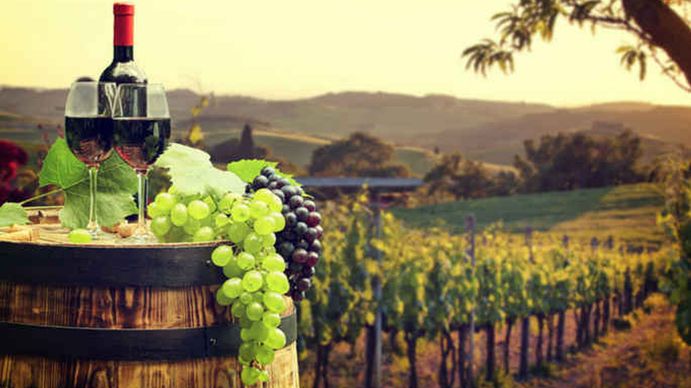 Vinos: habrá una producción históricamente baja