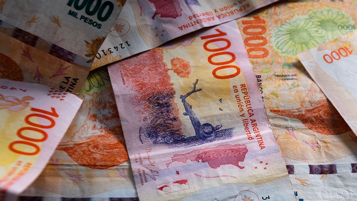 NUEVA TASA de interés para el PLAZO FIJO: cuánto gano depositando $300 mil (Foto: archivo)