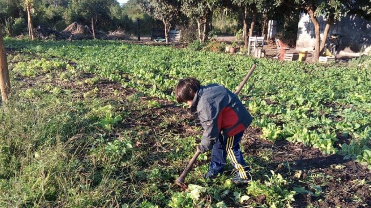 D a Mundial del Medioambiente la escuela abandonada en el Chaco