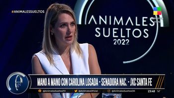 Carolina Losada, en Animales Sueltos, dejó abierta la chance de ser candidata a gobernadora de Santa Fe (Foto: captura de video). Carolina Losada, en Animales Sueltos, dejó abierta la chance de ser candidata a gobernadora de Santa Fe (Foto: captura de video).