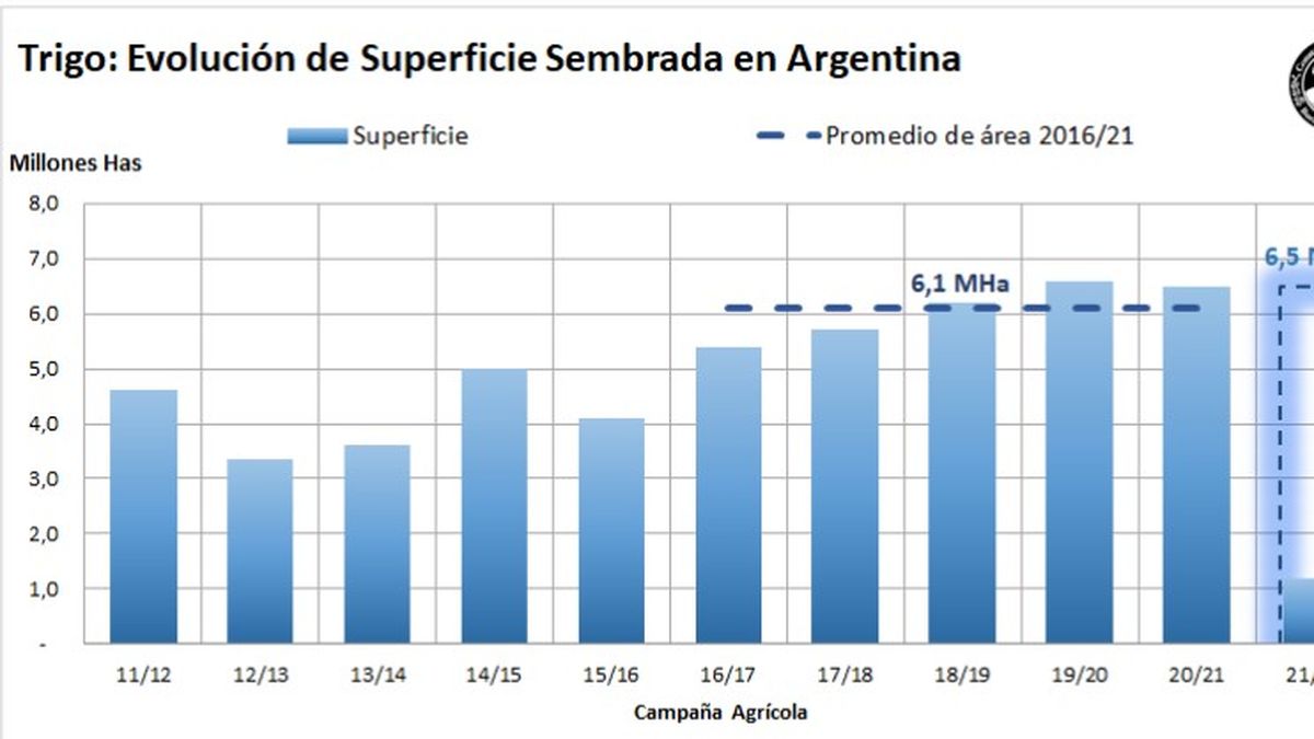 La evolución del trigo en el área nacional. (Fuente: Bolsa de Cereales de Buenos Aires)