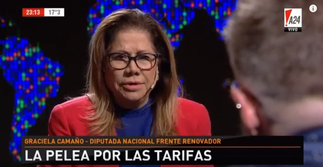 Camaño dijo que el Gobierno afronta un problema con la sociedad y que el massismo no tiene nada que ver con la intervención del PJ
