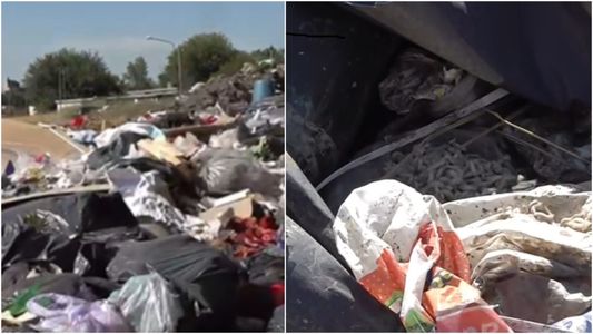Es una bomba sanitaria: denuncian un basural repleto de gusanos a cielo abierto en Villa Celina