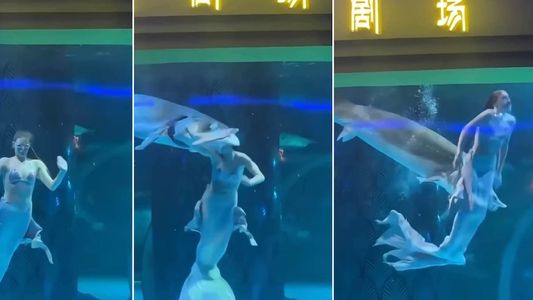 Terror durante un show acuático en China: un pez gigante atacó a una joven disfrazada de sirena