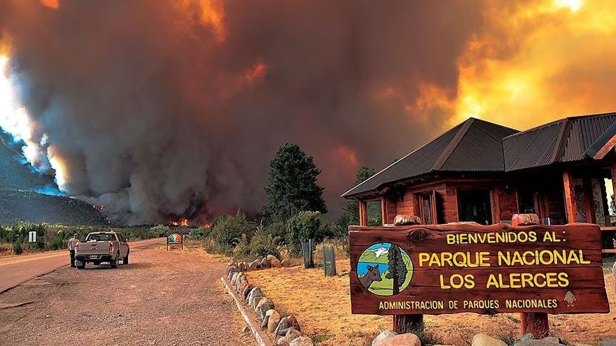 El fuego se inició a la altura de bahía Rosales del lago Futalaufquen en el Parque Nacional Los Alerces. (Foto: X) El fuego se inició a la altura de bahía Rosales del lago Futalaufquen en el Parque Nacional Los Alerces. (Foto: X)