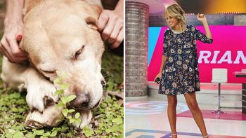 El dolor de Mariana Fabbiani por la muerte de su perro Oringo