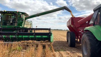 La pérdida de valor de la cosecha, una señal de alerta para la economía. La pérdida de valor de la cosecha, una señal de alerta para la economía.