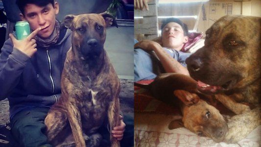 Incendios en Chubut: la historia del bombero que no llegó a salvar su casa