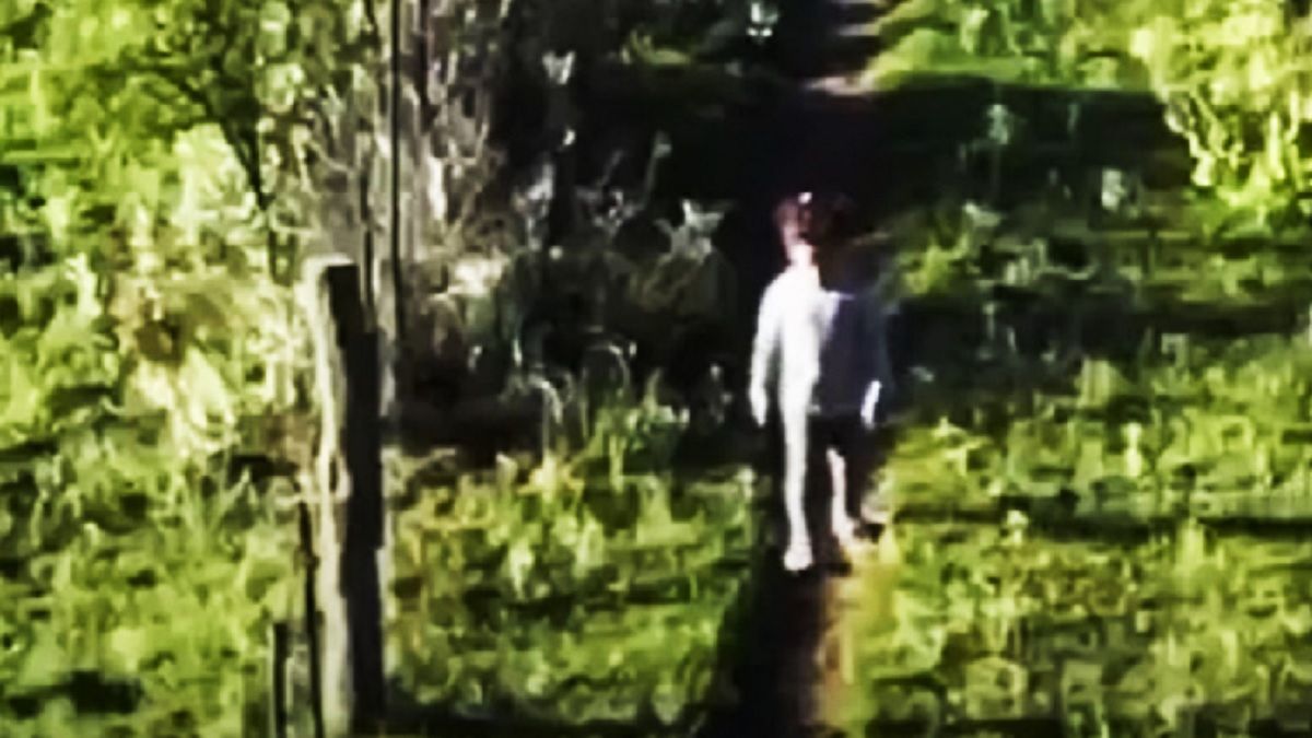 La pequeña fue captada mientras caminaba perdida.&nbsp;