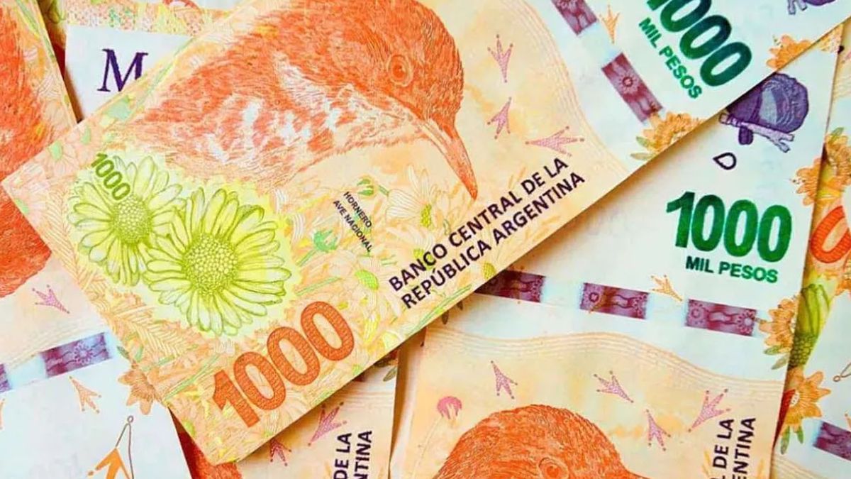 Aguinaldo de ANSES: qué asignaciones cobran esta semana (Foto: archivo).