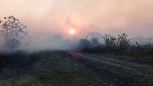Provincias bajo fuego: preocupación por diferentes focos de incendio en La Pampa, Entre Ríos, Neuquén y Mendoza