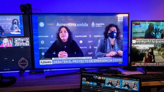 Carla Vizzotti y Vilma Ibarra defendieron en el Senado el proyecto de emergencia Covid-19