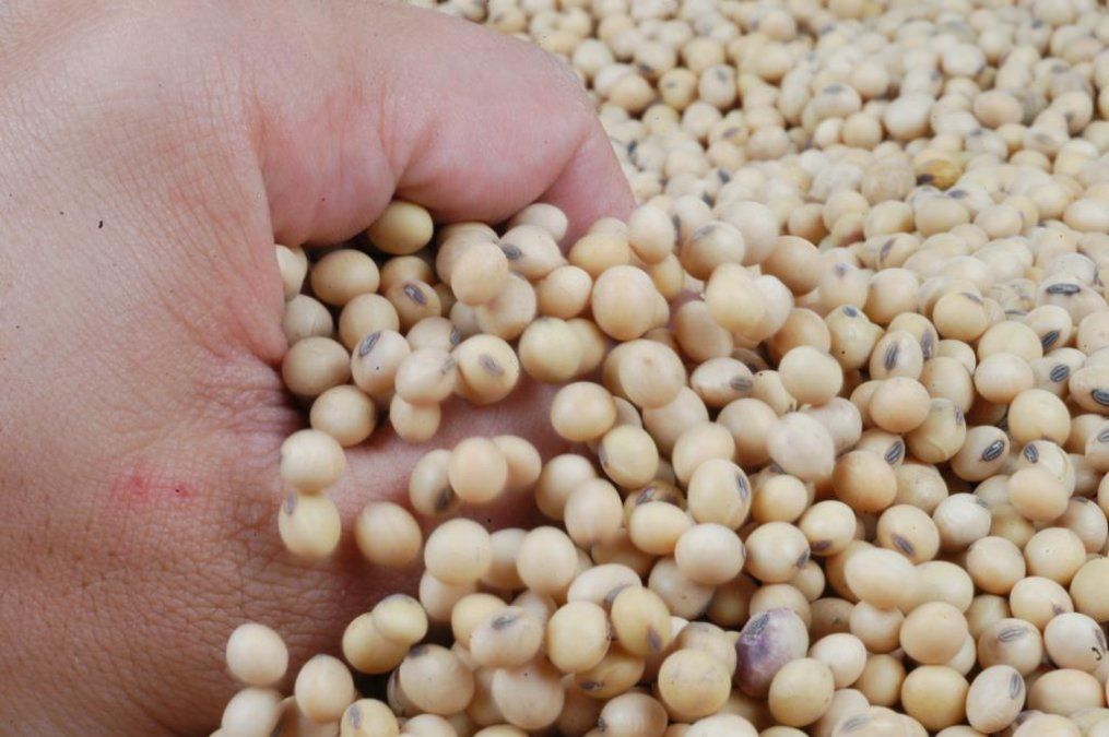 El precio de los granos: entre la decisión de los farmers y la incertidumbre de la demanda