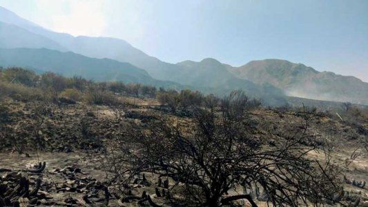 En Las Heras el incendio está totalmente extinguido