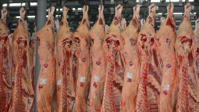 Crece la producción de carne pero con reses más livianas