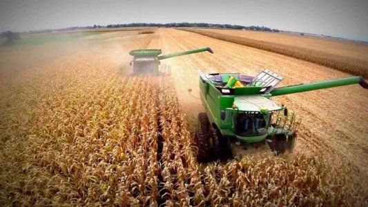 Inoportuno: la falta de lluvias complica la producción de soja