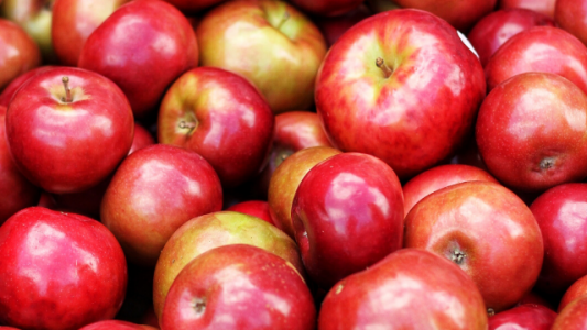 El precio de la manzana: en octubre, los consumidores pagaron 13 veces más de lo que cobró el productor