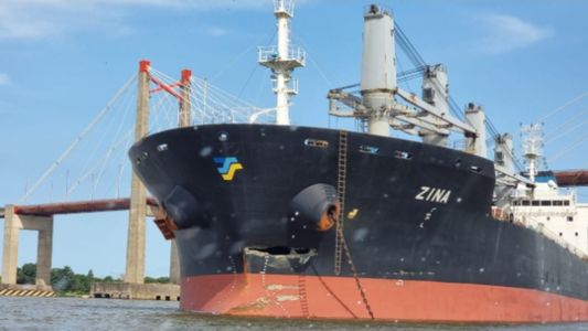 Video | Un barco chocó el puente Zárate-Brazo Largo y los testigos afirman que lo hizo temblar