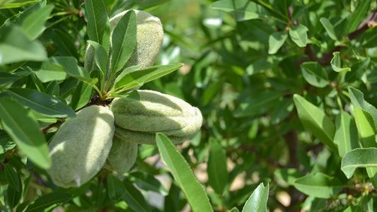 Empresa española se va de la Argentina por la incertidumbre que rodea al país