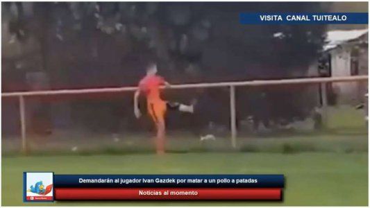 Un futbolista croata mató a una gallina de una patada y le sacaron roja