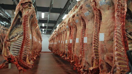 Avanzan las negociaciones por las exportaciones de carne