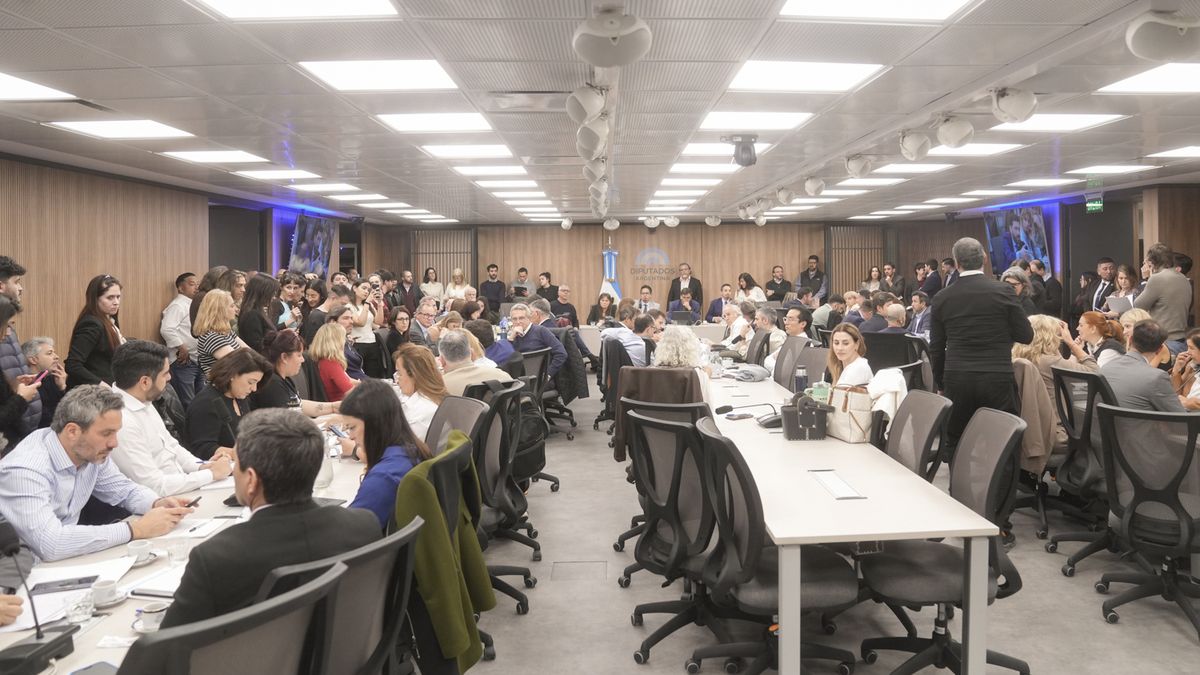 Endeudamiento familiar en Diputados: el oficialismo propuso discutir los proyectos en septiembre y la oposición rechazó esperar. (Foto: @DiputadosAR)