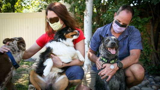 Colección Dexter: la historia del enfermero de EE.UU. que habría sedado y abusado de miles de pacientes