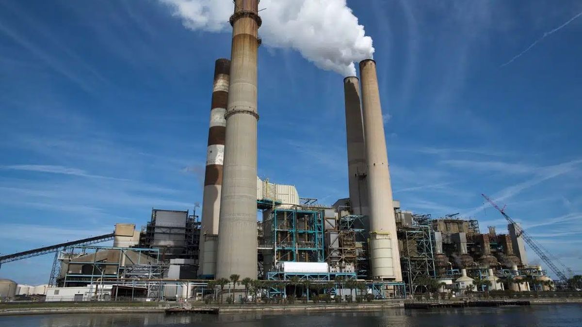El proyecto busca regular la titularidad, el registro y la comercialización de créditos de carbono generados por iniciativas como la reforestación y las energías renovables, que permiten compensar emisiones contaminantes. (Foto: archivo).
