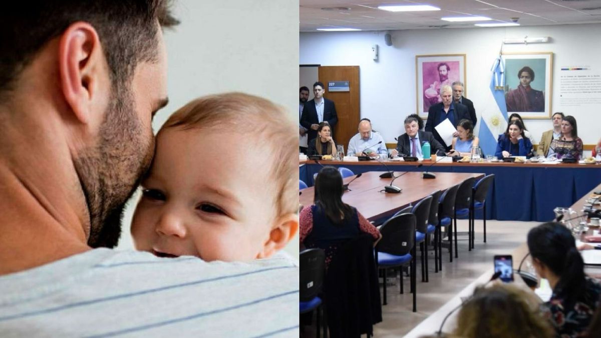 Buscarán avanzar en un dictamen para ampliar licencias parentales y de cuidados (Foto: archivo)
