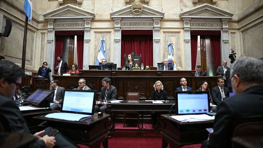 El Senado debate la reforma de la ley de salud mental y un régimen de incentivos para grandes inversiones