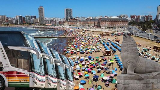 De Mar del Plata a Bariloche: cuánto cuesta viajar en micro a los destinos más elegidos para el verano 2026