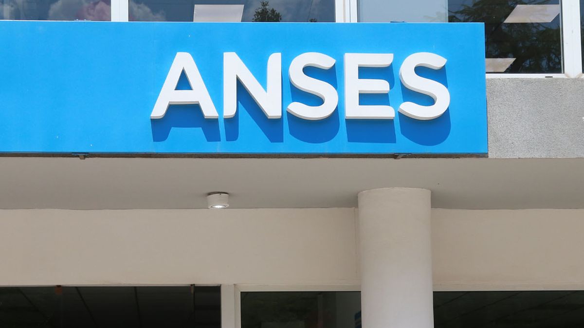 Atención ANSES: cómo anotarse en el programa que paga hasta $170 mil&nbsp; (Foto: archivo)