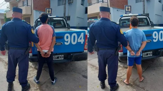 Dos jóvenes detenidos por robar las paltas de la casa de un jubilado